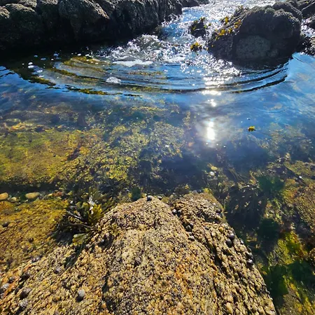 Le Capitole - Benoit - Escapade Hivernale Διαμέρισμα