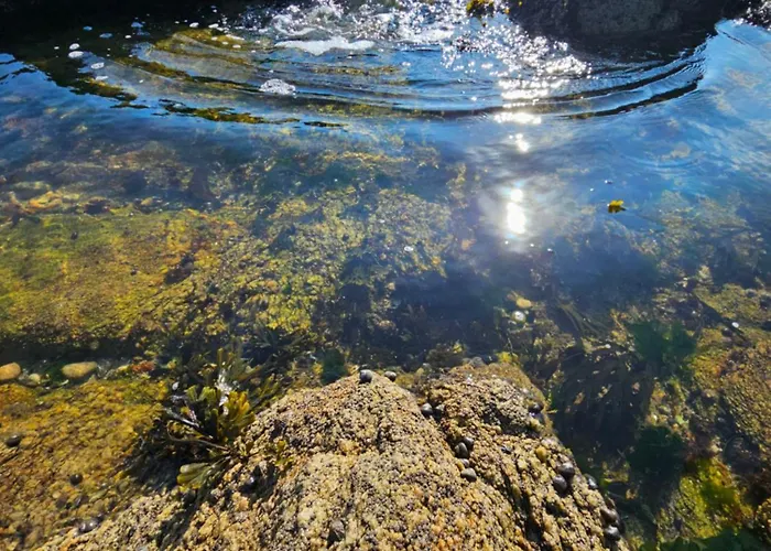 Le Capitole - Front De Benoit, Escapade A Deux Apartman